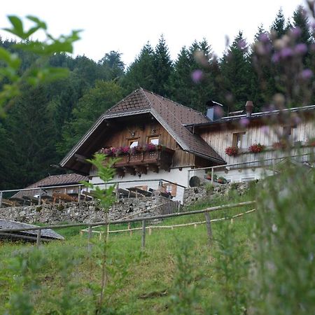 Ferienwohnung Hochsteinalm Traunkirchen Buitenkant foto